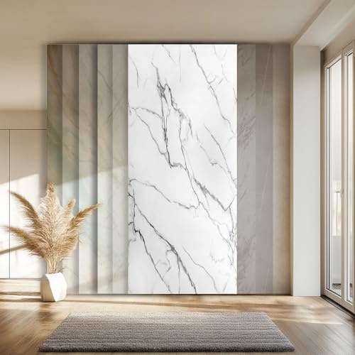 HEXIM Marmorplatten Optik 1 Stück 280x122 cm SPC Kunststoff Innen & Außenbereich Granit Steinoptik - Duschrückwand Küchenrückwand Spritzschutz Dekorpaneel (3,42 m² 2001) A-Serie