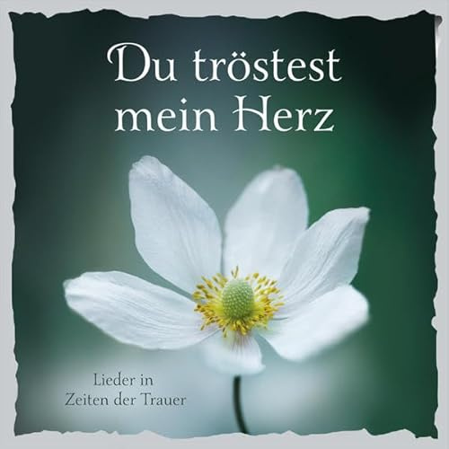 Du tröstest mein Herz: Lieder in Zeiten der Trauer