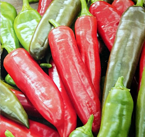 10 Samen Anaheim Chili Cilischoten Peperoni