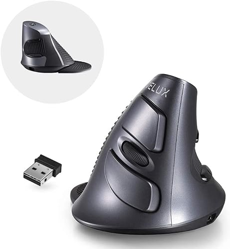 DeLUX Verticale Wireless, Mouse Ergonomico Ricaricabile, Silenzioso Con Poggiapolsi Rimovibile, Multi-Dispositivo 2,4GHz, Bluetooth, 3 DPI Regolabile (800/1200/1600), 6 Pulsanti (618G DB)