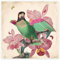 Exotische Papageien VIII Poster von Mandy Reinmuth 20 x 20 cm Wandbilder Wanddeko