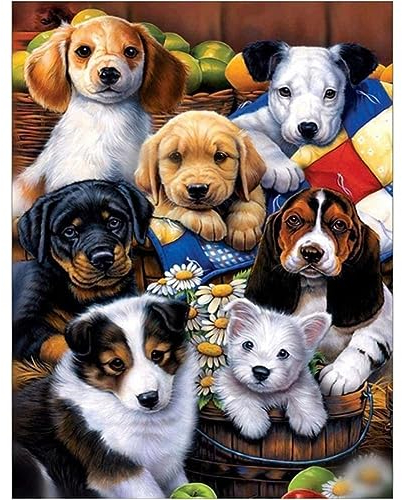 UNIQUORS Diamond Painting, 5D Diamant Painting Bilder Tiere, Diamant Malerei Set Vollbohrer Crystal Strass Stickerei Mosaik Gemälde für Kinder Und Erwachsene, Home Wand Décor (30x40cm, Hunde)