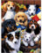 UNIQUORS Diamond Painting, 5D Diamant Painting Bilder Tiere, Diamant Malerei Set Vollbohrer Crystal Strass Stickerei Mosaik Gemälde für Kinder Und Erwachsene, Home Wand Décor (30x40cm, Hunde)