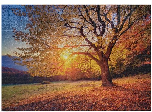 ABAKUHAUS Fall-Baum Puzzle, Herbst-Fall-Baum-Blätter, Heirloom-Qualität lustige Aktivität für die Familie langlebiger Karton, 1000 Stücke, Braun