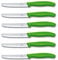 6 Stück Tafelmesser Tischmesser Brotzeitmeser VICTORINOX Grün Neue Griffform!