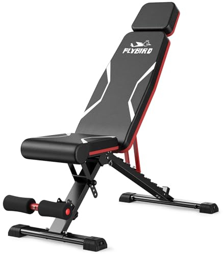 FLYBIRD Adjustable Weight Bench, Full Body Workout Bench for Home Gym (XL)
