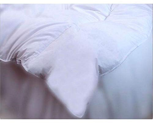 Dorte Hogar Relleno nórdico Gobi Ferdown Duvet 90% Plumón Duvet 10% Pluma pequeña de Ganso Tejido Exterior Algodon Batista (Cama 105 cm - 180 x 220)