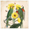 Exotische Papageien II Poster von Mandy Reinmuth 50 x 50 cm Grün Wandbilder Wanddeko