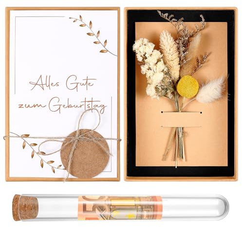 Hestya Geldgeschenke Verpackung Geburtstag mit Geschenkbox Geburtstagskarte | Mit Alles Gute zum Geburtstag, Reagenzglas, Trockenblume, Kraftpapier Anhänger, Hanfseil, Geburtstagsgeschenk für Frauen Mann