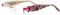 switch it Tauschbügel Wechselbügel Garnitur combi 2047 transparent-pink-Blumen + Herzen