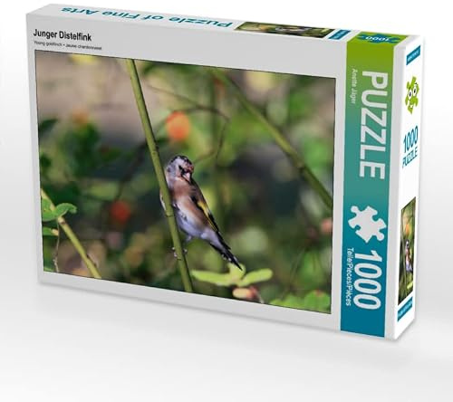 CALVENDO Puzzle Junger Distelfink | 1000 Teile Lege-Größe 64 x 48 cm Foto-Puzzle für glückliche Stunden