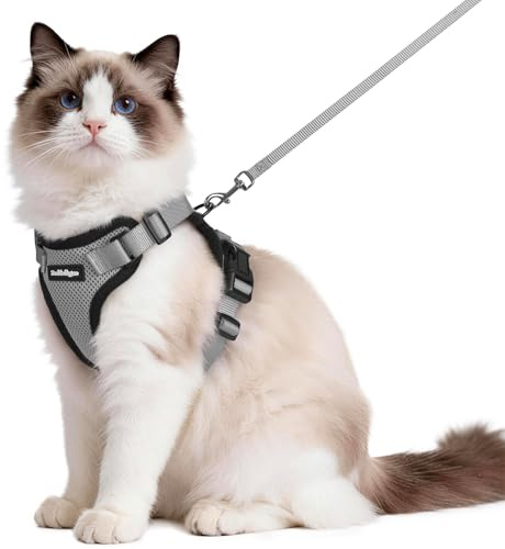rabbitgoo Cat Harness and Lead Set, Escape Proof Vest, Grey | Soft Breathable Mesh, Adjustable Fit, Snap Buckles, Reflective Strips, with 1.5m Lead for Medium to Large Cats Walks, M