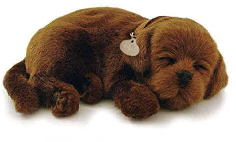 Perfect Petzzz Labrador Chocolate, der atmet the Breathing Puppy