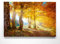 Atemberaubende Leinwand Herbstbilder - Herbstsonne - als 120x80cm großes XXL Leinwandbild. Wandbild als Hintergrund und Deko für Wohnzimmer & Schlafzimmer. Aufgespannt auf Holzrahmen