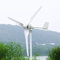2000W Windkraftanlage 24V 48V Windgenerator 2KW horizontal Windturbine 3 Blätter Hocheffizient Windräder Windmühle (48V)