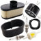 MCHNIC Filtre à air pré-filtre Filtre à carburant Filtre à huile pour John Deere X300 X304 X300R X320 X324 X360 X500 X530 X534 Z445 Z465 Z645 Z655 Z665 Z540R Z540M Moteur MIU12555