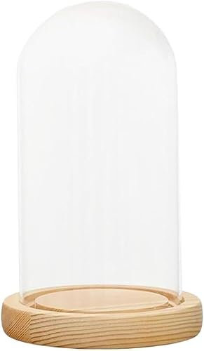 Glasglocke, Tischvitrine, 2 Stück, 5cm-10cm Durchmesser, Cloche-Kuppelabdeckung aus klarem Glas, Ständer mit Holzsockel, Kuppel, praktische transparente Abdeckung, multifunktionale Vitrine(10x35cm)