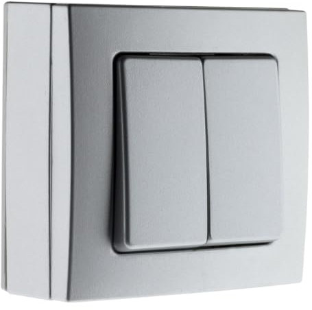 Zenitech - Interruptor Doble 10A Superficial Borne Automática - Equipamiento Eléctrico Sin Tornillos Visibles Compatible Con Molduras - Fácil Instalación - Normas NF y CE - Gris