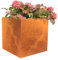 Palatino Exclusive Line Nora Pot de Fleurs Cube en Acier Corten 60 x 60 x 60 cm