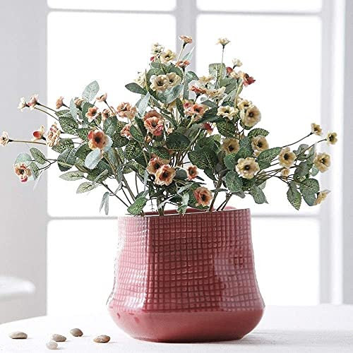 Blumentopf-Dekoration, Blumentöpfe, Behälter, Wand, Fenster, Gang, Treppen, Schlafzimmer, Haushalt, Blumenbehälter, Pflanzgefäß