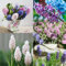 7 pcs hyazinthen zwiebeln - bodendecker pflanzen winterhart, frühlingsblüher zwiebeln winterharte pflanzen für garten, blumenwiese kräutergarten balkon pflanze gartenpflanzen winterhart