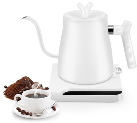 Hyunlai Small Electric Gooseneck Kettle Pour-Over Coffee and Tea Kettle - One-touch Quick Boil Water, Auto Shut-Off, 1L Hot Water Boiler Tea Pot, 304 Stainless Steel HK201
