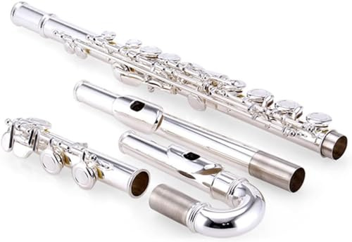 LABLADUO Flautas, Flautas Instrumento Musical Flauta Profesional de Doble Flauta de 16 Orificios Instrumento Musical Flauta for Principiantes chapada en Plata de latón con Bolsa