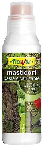 Flower-40518 masti-cort 250 g
