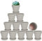 vensovo Small Gray Clay Terracotta Pot for Plant - 12 Pack with Saucer and Drainage Hole, Perfect for Indoor or Outdoor Use