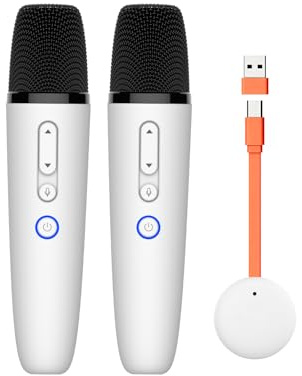 Karaoke Microphones for BYD All Models, Wireless Karaoke Microphone with USB-A & USB-C Connector Receiver, Karaoke Mic for BYD Works for All App, 2 Mics
