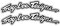 Troy Lee Designs Arced Fender STicker Decal