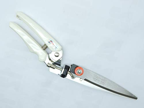 Cisaille à Gazon Coupe Bordures Orientable à 3 Positions en Acier Inox 34 cm - Kamaki Fabriqué au Japon