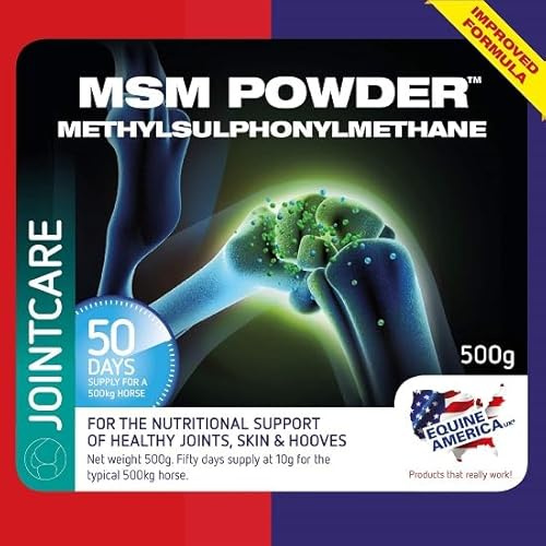 Equine America MSM Pulver | Premium bereit für die Nutzung von Horse & Pony Supplement | Unterstützung für Gelenke | 500g.