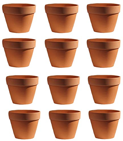 Molyorch 12 Pezzi vasi in Terracotta,Vaso Terracotta in Argilla Rosso, Piante Terracotta Piccolo Vaso, Argilla Set Vaso, per Matrimonio Compleanno Casa e Ufficio Decorativo