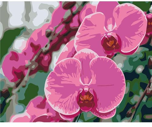 YSCOLOR Malen Nach Zahlen Für Erwachsene Lila Orchidee Diy Leinwand Ölgemälde Kits Anfänger Hause Wanddekor Geschenke 40X50cm