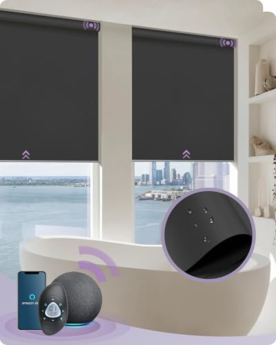Graywind Elektrische Rollo Innen Kompatibel mit Alexa, Wasserdicht Smart Verdunklungsrollo nach Maß, Motorisierte Rollo mit Fernbedienung, Elektrische Jalousien, Dunkelgrau