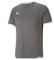 PUMA Herren Teamliga Jersey Shirt, Smoked Pearl-puma White, M EU