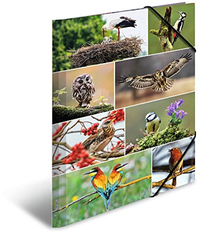 HERMA Carpetas para niños, tamaño A3, con diseño de pájaros, esquineras de cartón con motivos animales, banda elástica, solapas interiores e impresión interior para niños y niñas