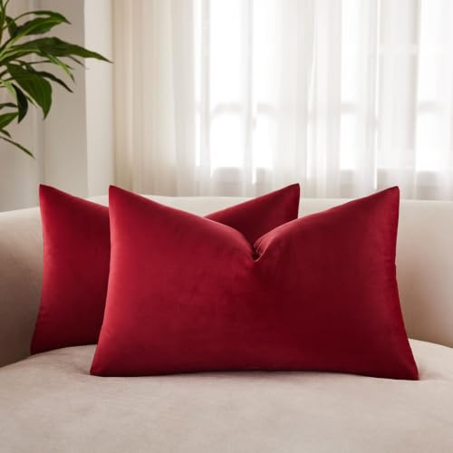 JUSPURBET Decorative Pillow Covers Set of 2 Velvet Throw Pillow Covers for Couch Sofa Bed Soft Lumbar Cushion Covers with Hidden Zipper for Living Room Home Decor,Burgundy,14x24 inch