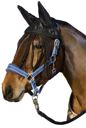 Fliegenhaube m. Ohrenschutz und Fransen, schwarz