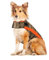 ThunderShirt für Hunde, groß, Camo Polo - Hund Angst Weste
