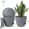 STURME 23CM Plant Pots Indoor 2 Pack, Self Watering Plant Pots with Drainage Holes,Saucers and Reservoir,Suitable for Flowers, Plants Indoor Modern Fashion Decorative Grey Plastic Plant Pots.