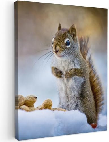 MuchoWow© Impression sur Toile Peinture 50x70 cm Tableau Mural Decoration Salon Reproductions de Tableaux Murale Moderne Écureuil - Noix - Neige - Hiver - Rongeurs - Saisons