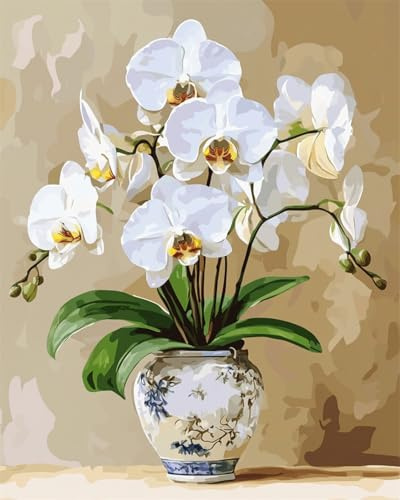 Taxpy DIY Malen Nach Zahlen Set（Kein Rahmen） 30x40cm Weiße Orchidee In Vase Digitales Malen Nach Zahlen Auf Leinwand Für Anfänger，Erwachsene，Als Geschenk，Wanddekoration Für Zuhause