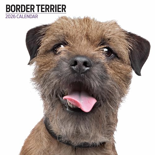 Border Terrier Kalender 2026 Modern