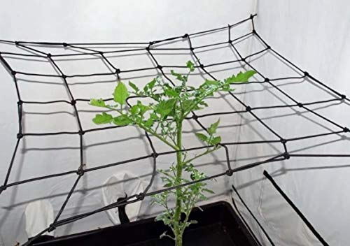 Tech-Garden Black Orchid 80 x 80 cm Hydroponic Grow Room Scrog Net Tent Plant Support Netting Elastic Hooked Grid Trellis Small
