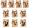 Belle Vous 10x Geschenkbox aus Kraftpapier - Geschenkschachtel Set - Geschenkboxen für Geschenke Geburtstag, Hochzeit, Kekse, Muffin, Pralinen Verpackung (Design-4)