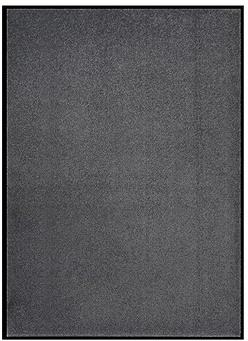 vidaXL Fußmatte Schmutzfangmatte Türmatte Schmutzmatte Sauberlaufmatte Fußabtreter Türvorleger Schmutzfangläufer Teppich Matte Anthrazit 60x80cm