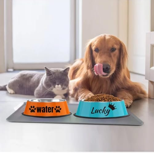 Gamelle personnalisée en acier inoxydable pour chien avec nom personnalisé - Gamelle antidérapante pour chiot - Avec nom - 15 cm