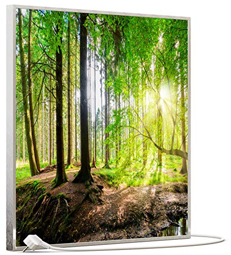 STEINFELD Bild Infrarotheizung mit Thermostat | Made in Germany | viele Motive 350-1200 Watt Rahmen silber (350W, 067 Wald Panorama)